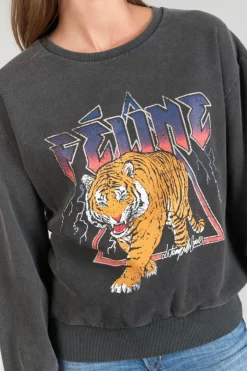 Femme Le Temps des Cerises Pulls & Sweats & Cardigans-Sweat Nyke Gris Delave