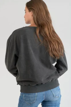 Femme Le Temps des Cerises Pulls & Sweats & Cardigans-Sweat Nyke Gris Delave